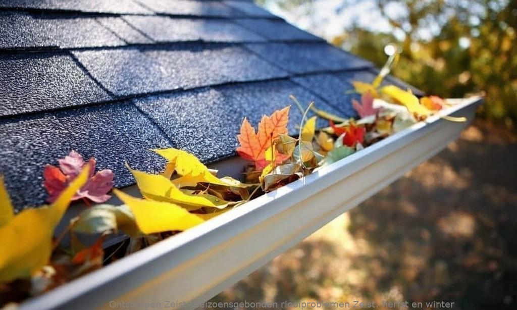 Seizoensgebonden rioolproblemen Zeist: herfst en winter