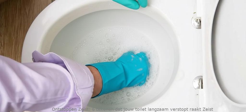6 tekenen dat jouw toilet langzaam verstopt raakt Zeist