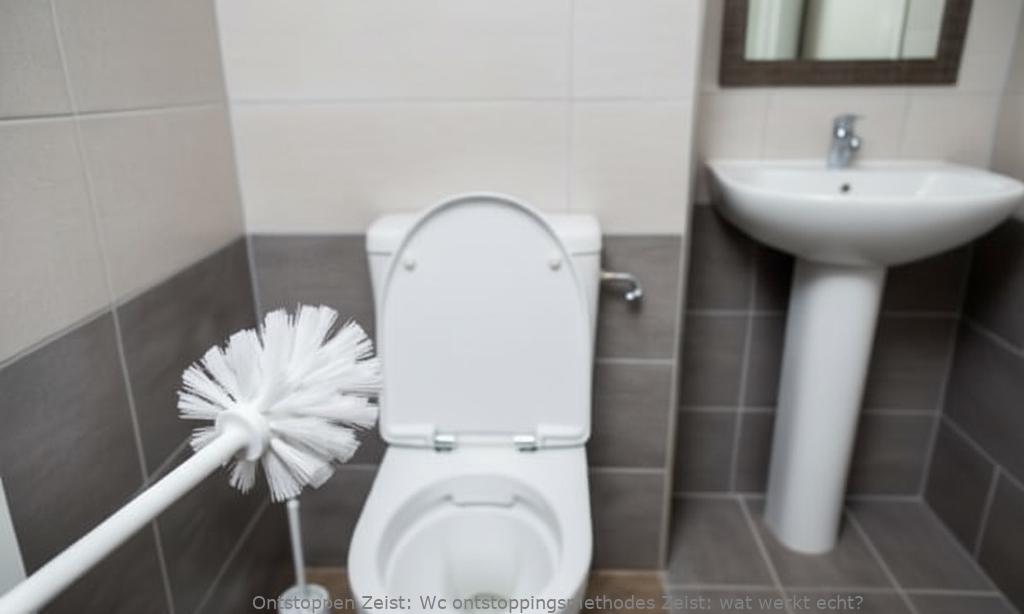 Wc ontstoppingsmethodes Zeist: wat werkt echt?